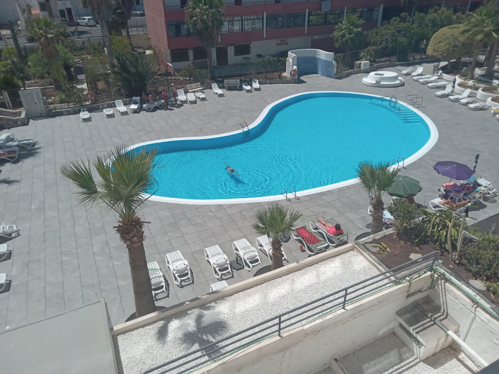 Communal pool of the complex