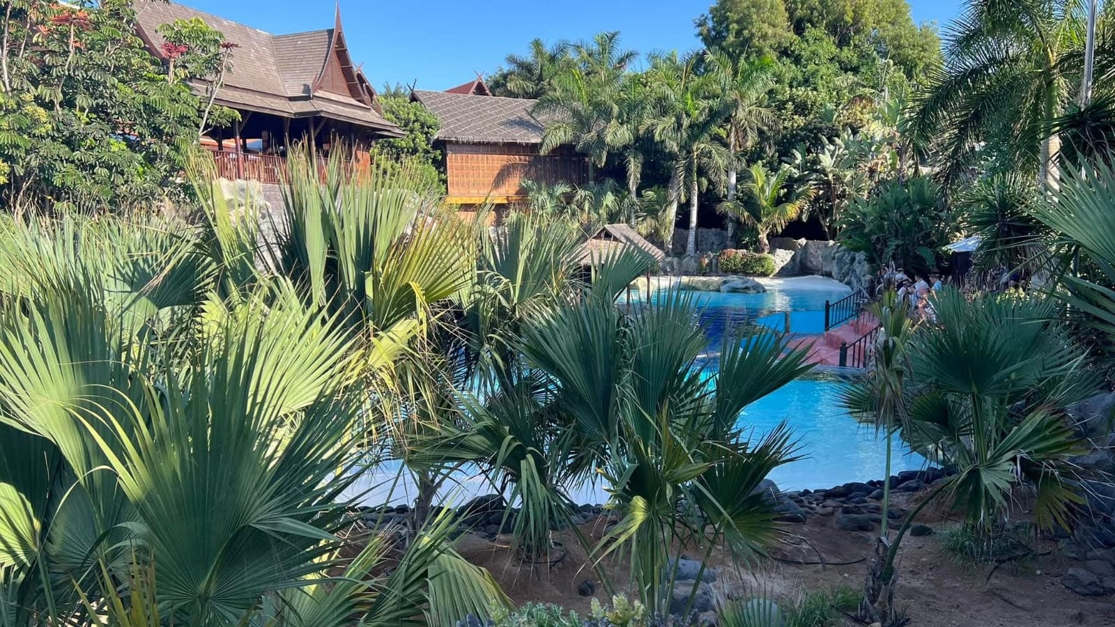 Medence és pálmafás kert a Siam Parkban