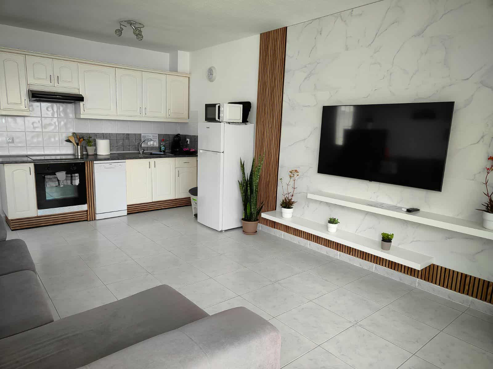 Living room with open kitchen and TV