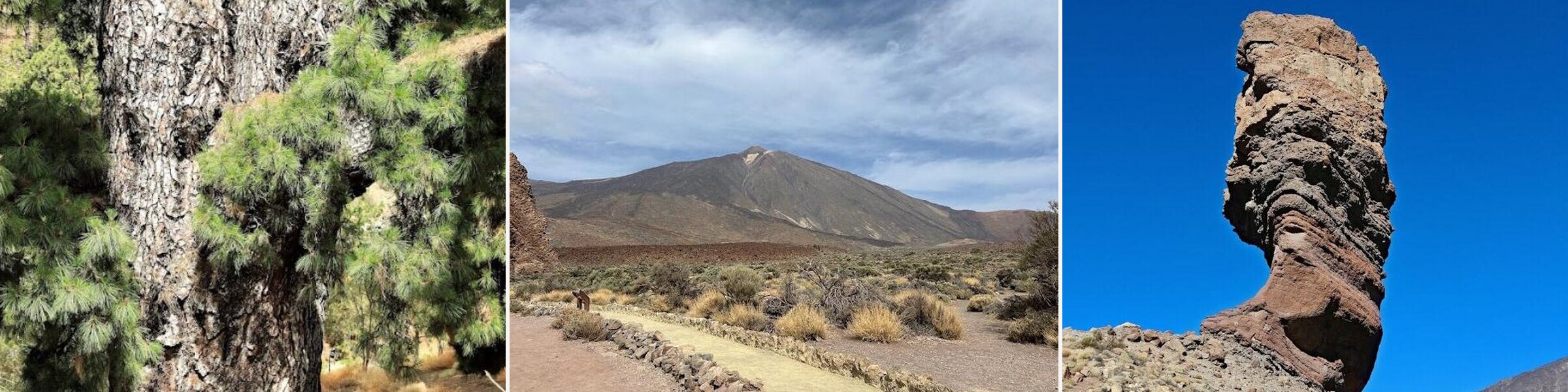 Teide túra